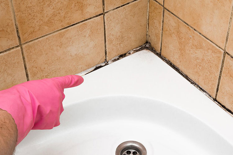 5 Ways To Keep Your Bathroom Free of Mold & Mildew